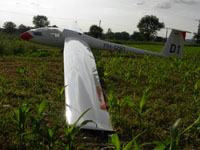 Bummer! Even Nimbuses need thermals now and then...