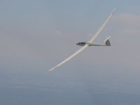 Ain't life a bitch? You buy a glider with the largest span in your club, and then your friends decide to buy something larger...