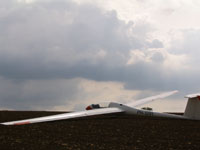 Again in the field... But this one belonged to the mayor of a little village! I even got interviewed by the local press. Never saw the article though...